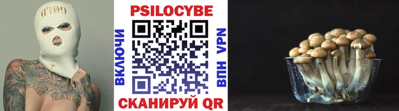 Галлюциногенные грибы Cubensis  ссылка на мегу как зайти  Королёв 